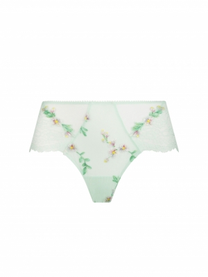 Amour Nymphea - Jade Aqua JA