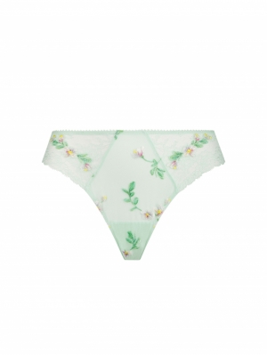 Amour Nymphea - Jade Aqua JA