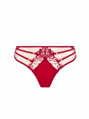 Eblouissant Eros  NS