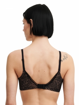Graphic Allure 011