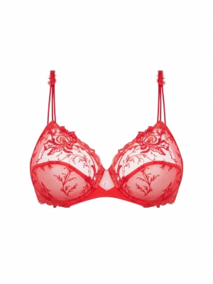 SOURCE BEAUTE HB HIBISCUS BEA