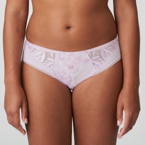 ORLANDO SVI sweet viole
