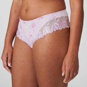 ORLANDO SVI sweet viole