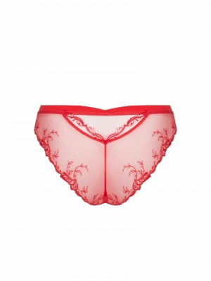 SOURCE BEAUTE  hb HIBISCUS BEA