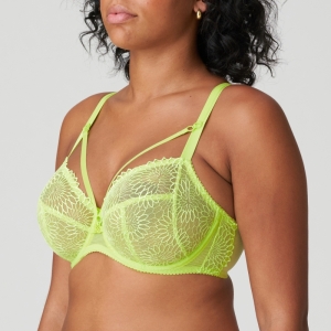 SOPHORA LIU Lime crush