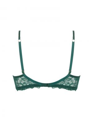 TROPIQUE EN FLEURS NATURE TROPIC