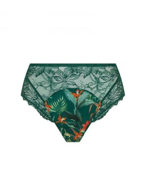 TROPIQUE EN FLEURS NATURE TROPIC