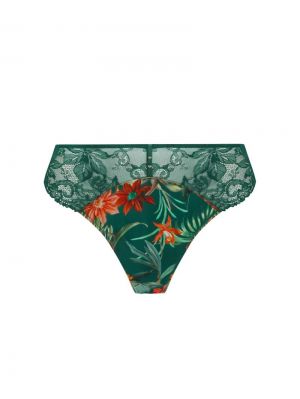 TROPIQUE EN FLEURS NATURE TROPIC